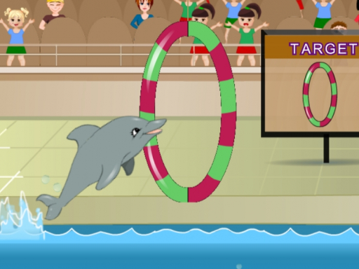 My Dolphin Show